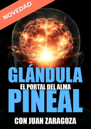 Pineal